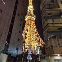 ブログ開設から6986日　Goo blogがサービス終了に・・・移動先探し