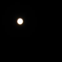 月・木星・十五夜・手ブレ 大ぶれ～っ！・・・