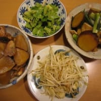 煮物2品とモヤシ、セロリ：平日ディナー【4/6】