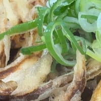 「宮崎うどん ふくや 本店」でランチ
