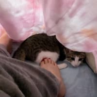 クリンへの想いは尽きなくて・・・305