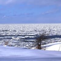 流氷の海 オホーツク（知床半島とその周辺） №４