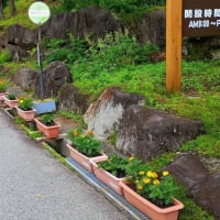 雨が降っています