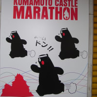 明日は熊本城マラソン！