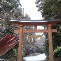 ２月の収穫～山編