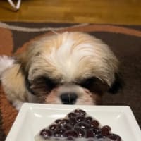夏のお菓子。