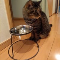悩む必要は無かろう