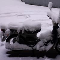 大雪警報