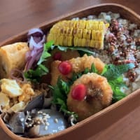 もう2度とない最高の夏休み・デリ風サラダとイカリング弁当