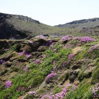 阿蘇中岳・高岳東峰　 6月1日(日)