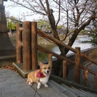 大画像テスト