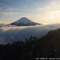 爽やかな富士山