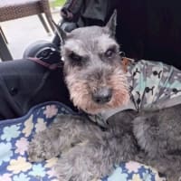 相模原公園でジミィー君と再会