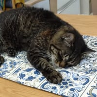 交代してんか ！