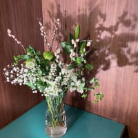 銀座本店のお花達ーーーッ！！！