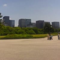 海岸沿いで悠々自適