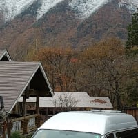 これは 三段 紅葉ではなくて 3色 紅葉？