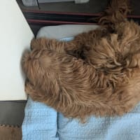 反省中？？