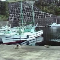 八丈小島もあるく　よみがえれ　三宅島応援ツアー　１１回目　八丈島