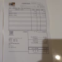 ルータンは卵確定
