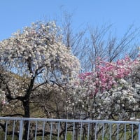 まずいパンと不幸の予感。