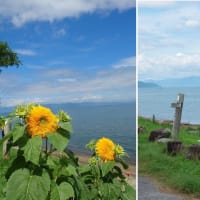 「琵琶湖畔 あのベンチ」に行ってきました。