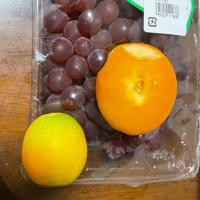 🌻夏の文芸(その2)🥒やさいや🍇果物たち
