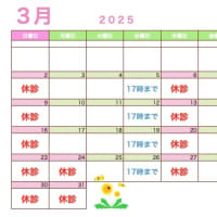 3月の診療案内