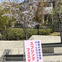 今年の『よっといデー』、桜は満開