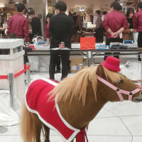 馬が難波ウォークに居たよ