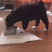 ４から２へ