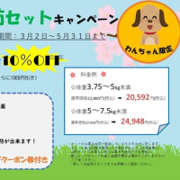 ●　GW後半が始まりました🌞【現在、診察は予約制となっております。】