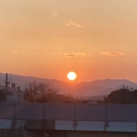 日の当たる頃