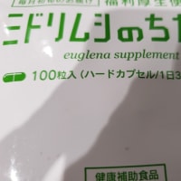 おはようございます〜
