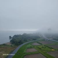 水無月15日（日）早朝雲が地上に漂っている。こんな現象年に1or2回・・・