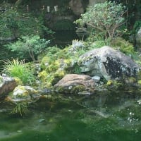 和歌漢詩文武に秀づ道灌忌