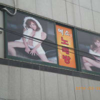 韓国ではカラオケを「노래방（ノレバン）」と呼び、「歌(노래・ノレ)」+「部屋(방・バン)」が合わさった単語です…アガシが接客するお色気サービスの노래방(ノレバン)もあるようです