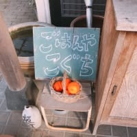 ランチ