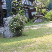 静かに降る雨に、、、、