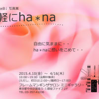 春ですねぇ