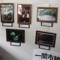 「一関市観光協会東山第9回写真コンテスト」入賞作品展示中！