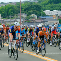 7月13日(日) THE ROAD RACE TOKO TAMA 2025-ボランティア活動のスナップ