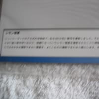 胎内星まつり2014での戦利品(購入品)