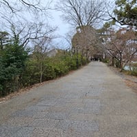 No.2070　徒歩で京都を重文巡り（4）