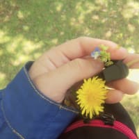 貴女は素敵な人