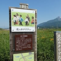 日　記