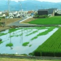 海岸ドライブ