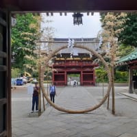 根津神社 夏越しの大祓