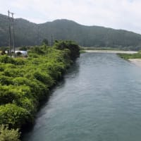 本日の海部川
