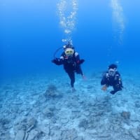 午前午後と水納島にて体験ダイビング
